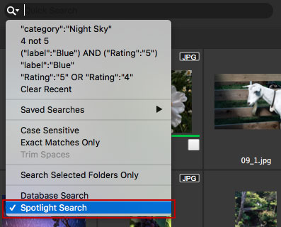 Spotlight search