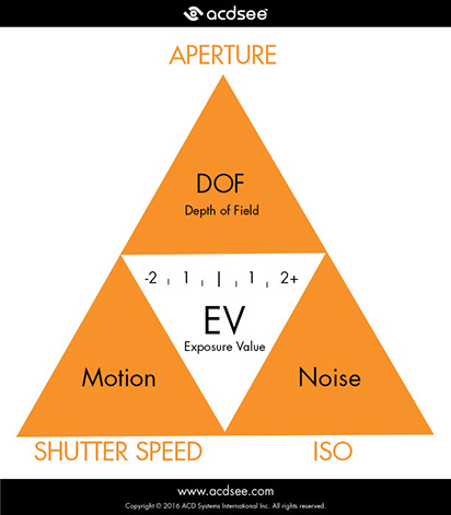 Exposure Infographic
