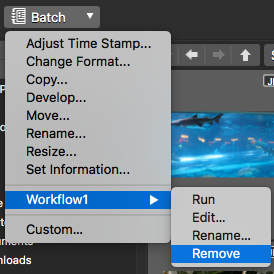 Remove preset