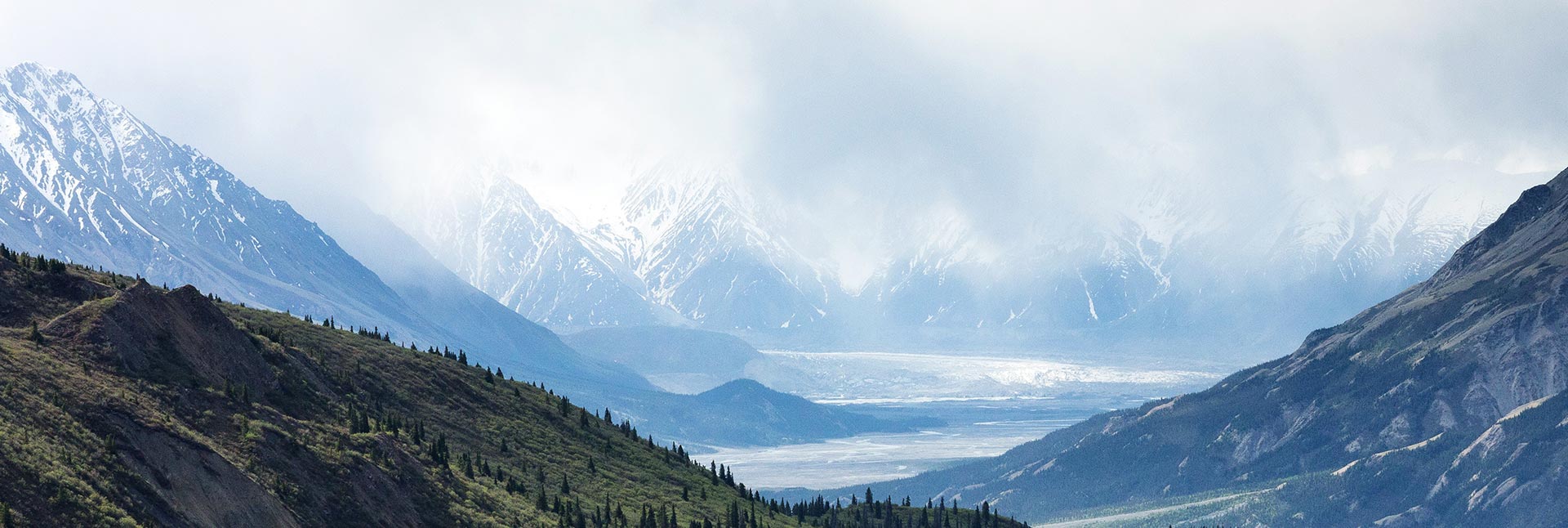 ACDSee Photo Studio Professional 2018 Maîtrise complète de la